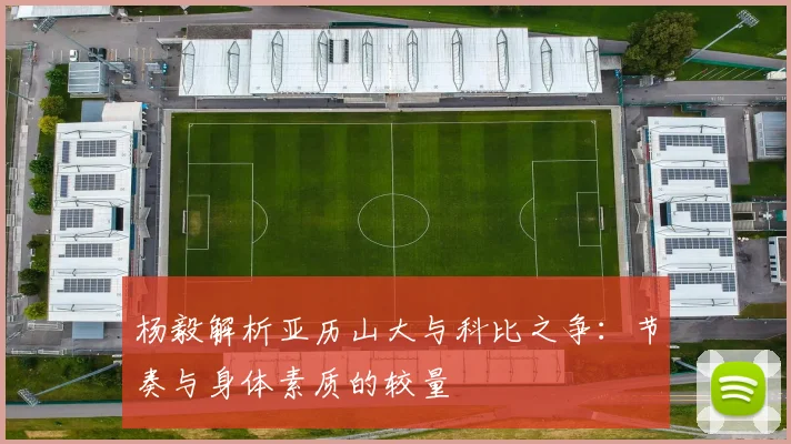 杨毅解析亚历山大与科比之争：节奏与身体素质的较量