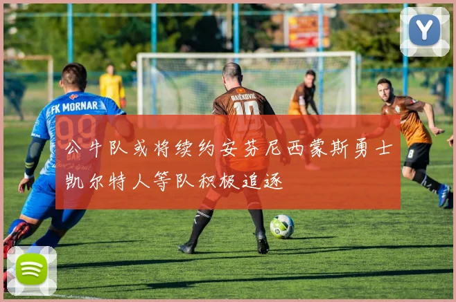 公牛队或将续约安芬尼西蒙斯勇士凯尔特人等队积极追逐