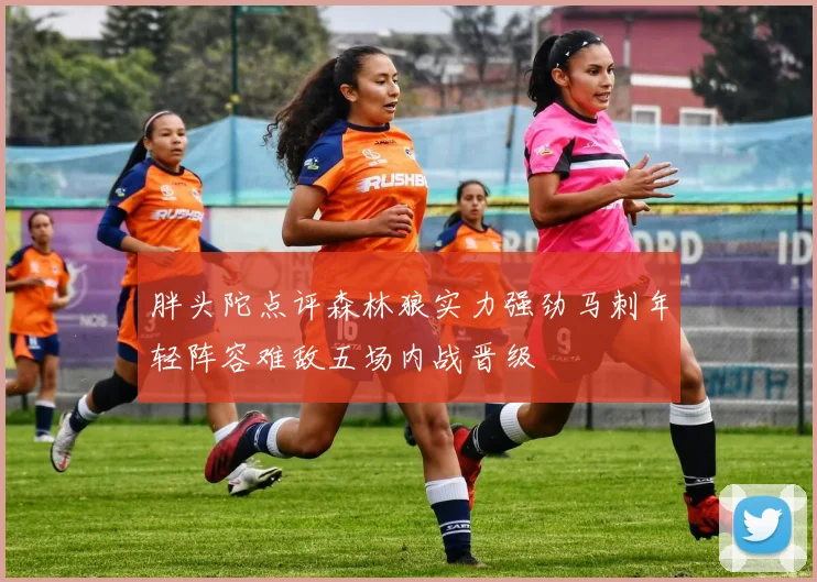 胖头陀点评森林狼实力强劲马刺年轻阵容难敌五场内战晋级